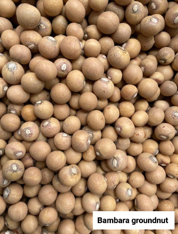 Seed